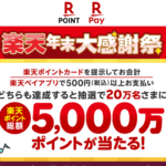 最大10万ポイントが当たる「楽天年末大感謝祭！抽選で楽天ポイント総額5,000万ポイントプレゼント」キャンペーンが開催