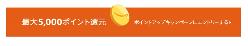 Amazonポイントアップチャンス