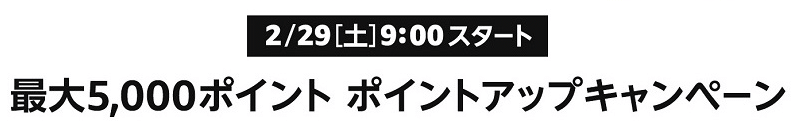 Amazonポイントアップチャンス