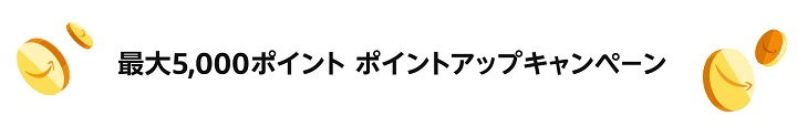 Amazonポイントアップチャンス