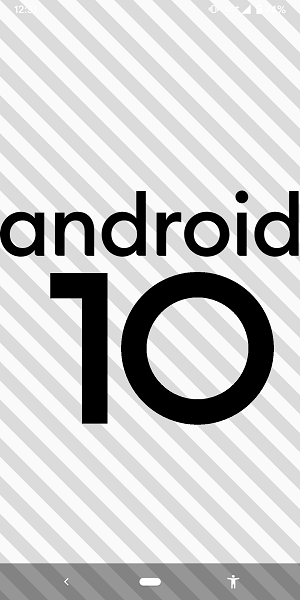android10イースターエッグピクロス