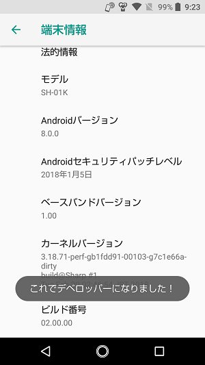 Android開発者向けオプション