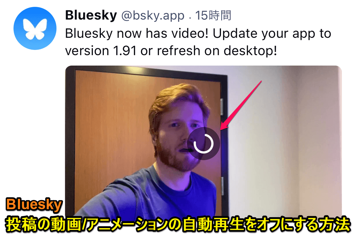 Bluesky 動画・アニメーションの自動再生をオフにする方法