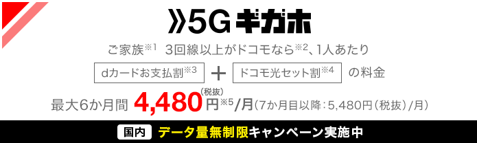 5Gギガホ概要