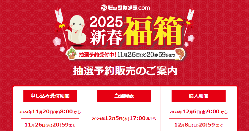 ビックカメラ福袋2025 新春福箱