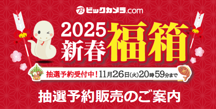 ビックカメラ福袋2025 新春福箱