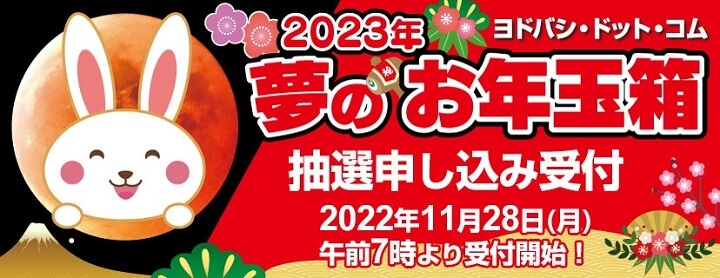 ヨドバシカメラ福袋2023 夢のお年玉箱