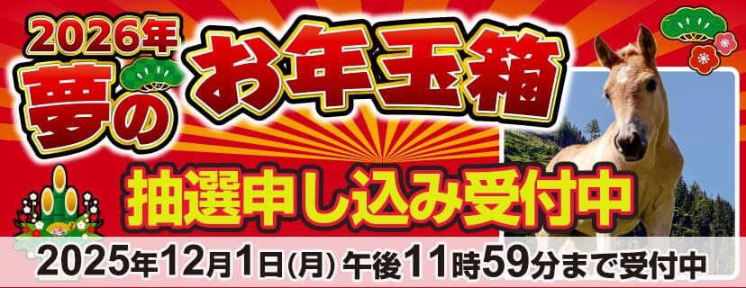 ヨドバシカメラ福袋2026 夢のお年玉箱