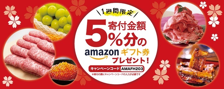 ふるさと納税ふるさと本舗Amazonギフト券
