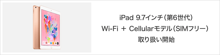 ビックカメラ.comでSIMフリーモデルの「iPad 9.7インチ（第6世代）Wi-Fi＋Cellular」の取り扱い開始