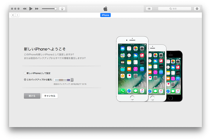 Iphoneは使用できません Itunesに接続 と表示されてios端末がロックされた時の復旧方法 強制初期化 データ救出方法 使い方 方法まとめサイト Usedoor