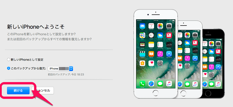 Iphone X Itunesバックアップから復元できない場合の対処方法 使い方 方法まとめサイト Usedoor