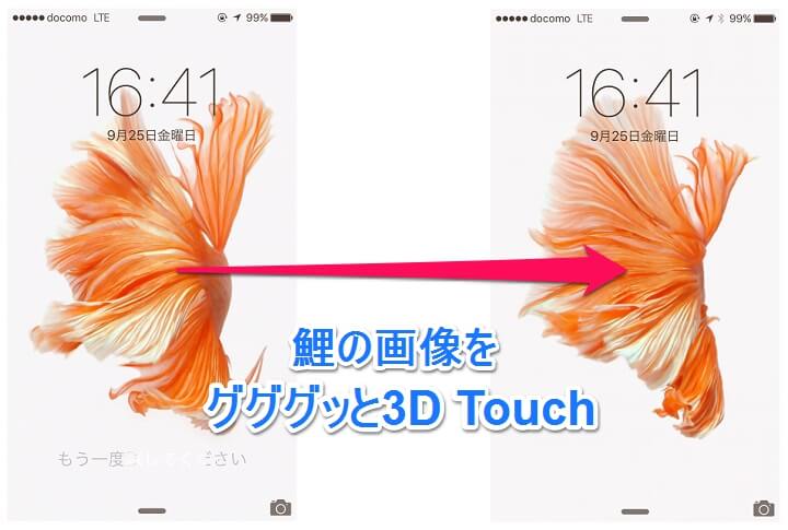 3d Touch Iphoneのライブ壁紙に設定する方法 噂のapple魚 鯉 が泳ぐ 自分で撮影したlive Photosも設定できる 使い方 方法まとめサイト Usedoor