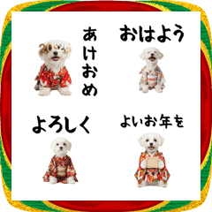 マルチーズの子犬絵文字♡2026お正月セット