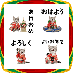 アメショ子猫の絵文字♡ふわかわお正月2026