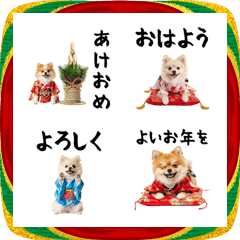 ふわもこポメラニアン絵文字♡お正月2026