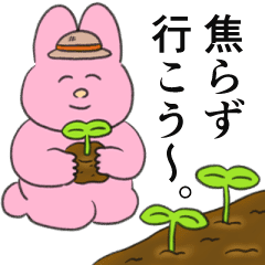 LINE無料スタンプ 【無料】なおにゃん×NatureBank