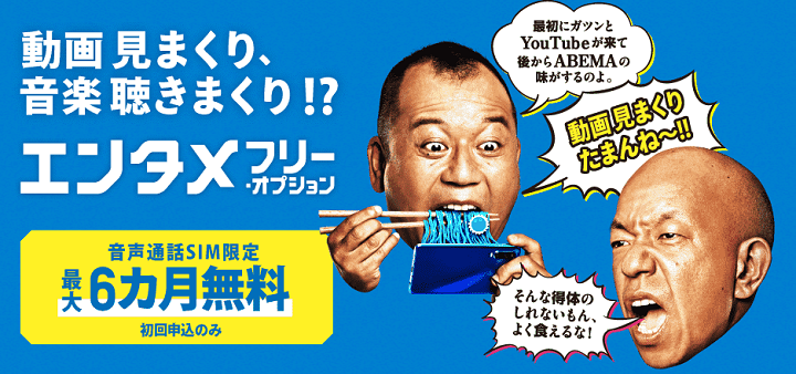 エンタメフリーオプションが最大6ヵ月無料で利用できる
