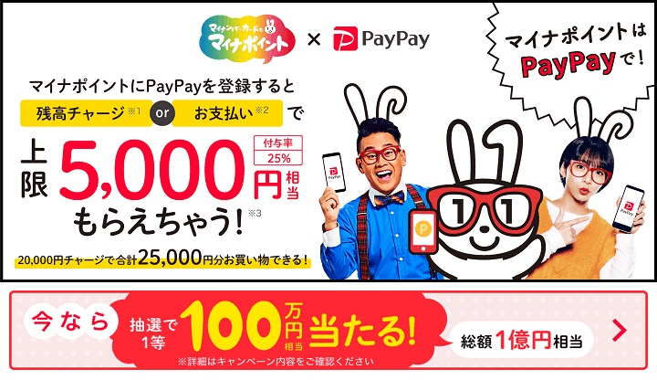 マイナポイント追加特典 PayPay