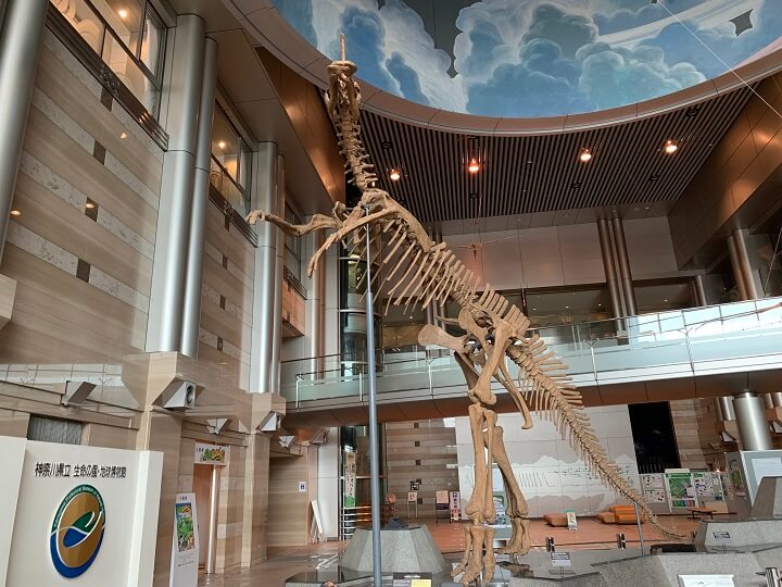 神奈川県立生命の星・地球博物館の恐竜