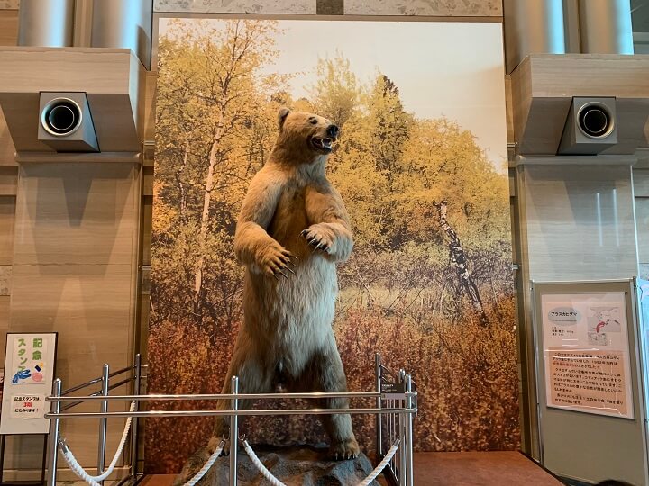 神奈川県立生命の星・地球博物館入館料の熊