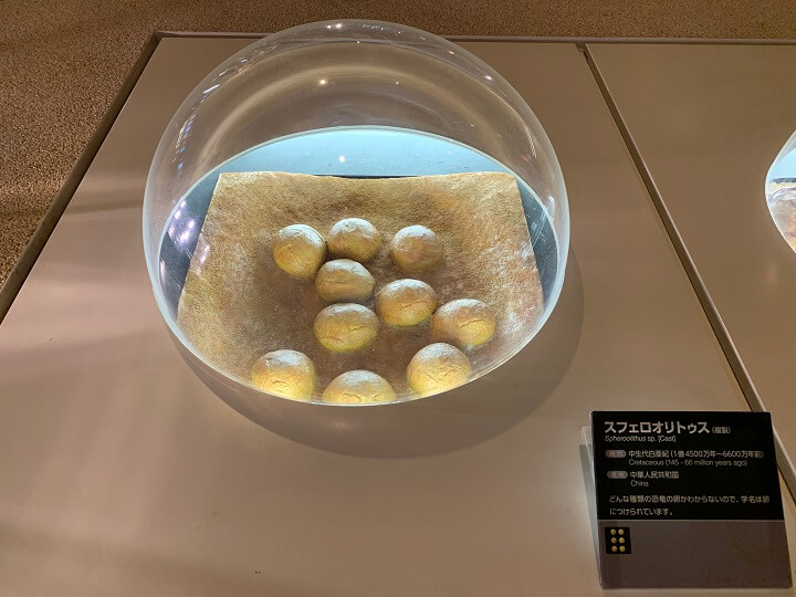 神奈川県立生命の星・地球博物館入館料の恐竜