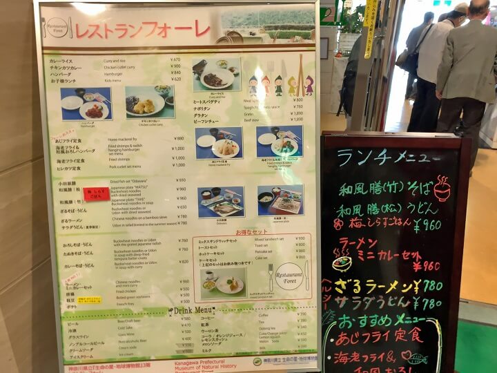 神奈川県立生命の星・地球博物館レストラン
