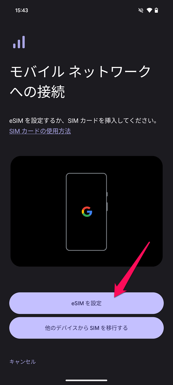 Google Pixel 9 Proで楽天モバイルが使えるか試してみた