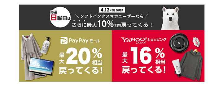 日曜日は 10 還元 Paypayモールやyahoo ショッピング Lohacoでお