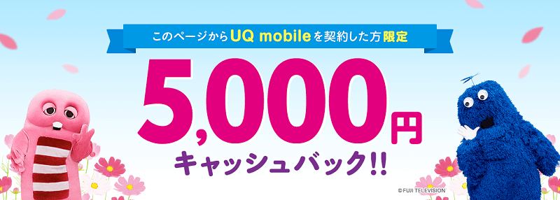 【当サイト限定】5,000円キャッシュバック