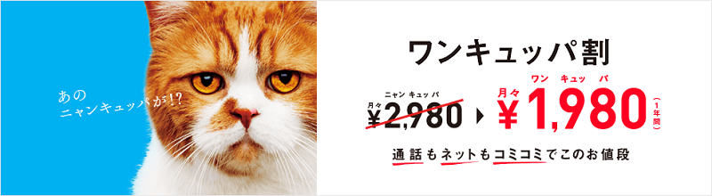 【ワンキュッパ割】12ヵ月間基本使用料が1,000円割引