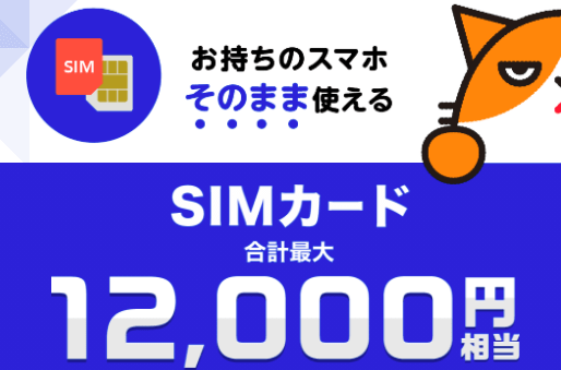 【SIM単体】「どこでももらえる特典」+「SIMカードご契約特典」を併用して契約すると合計最大12,000円相当還元