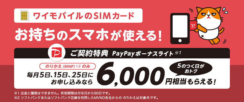ワイモバイル SIMカードご契約特典(SIM単体)